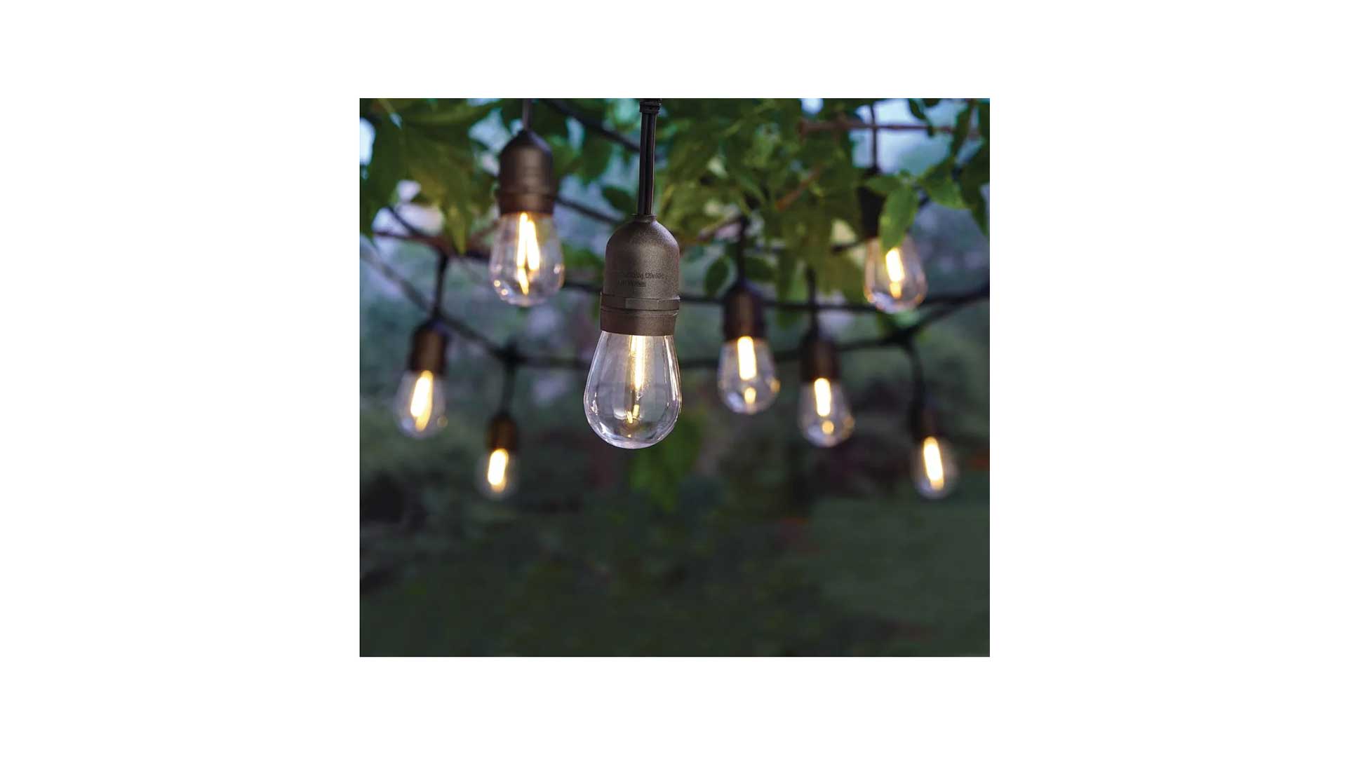 12-Light Indoor/Outdoor String Light with LED Bulbs (24 ft.) 