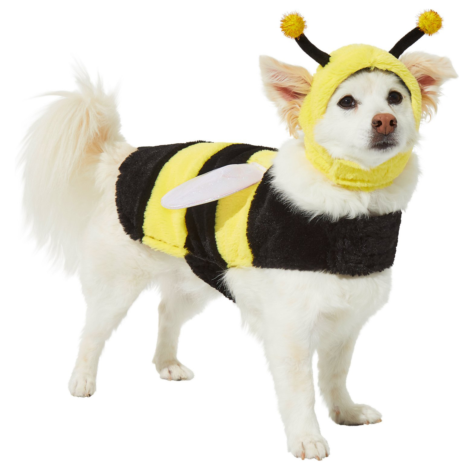Frisco Bumble Bee Dog & Cat Costume