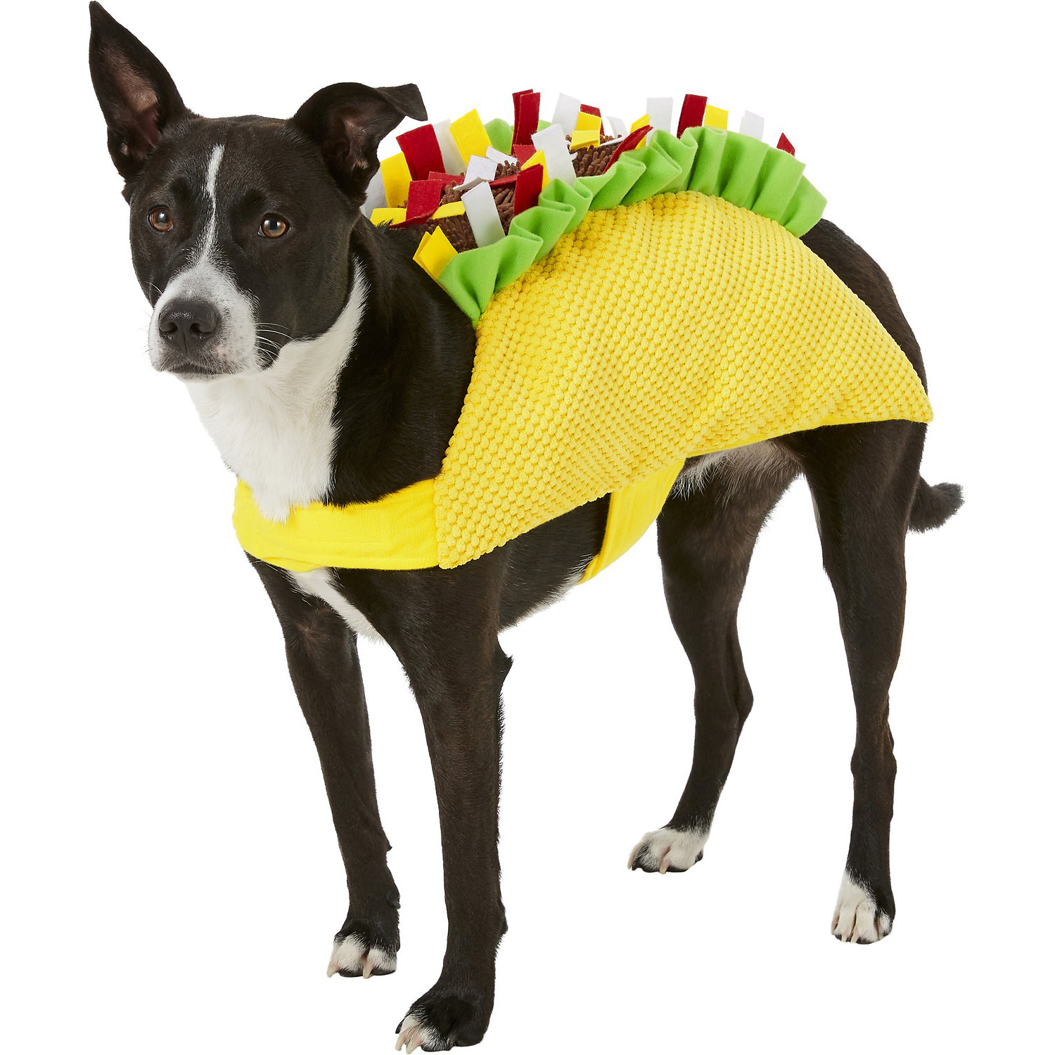 Frisco Taco Dog & Cat Costume
