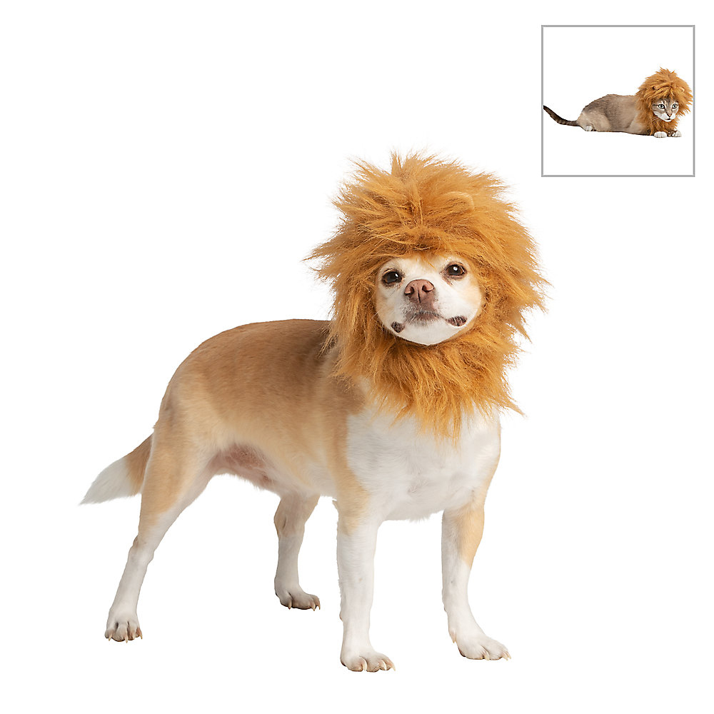 Thrills & Chills Halloween Lion Mane Headpiece Dog & Cat Costume