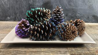 ombre pine cones