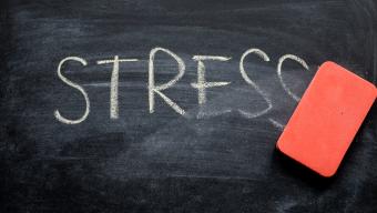 Erasing Stress