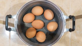 Hard Boiled Eggs in Instant Pot