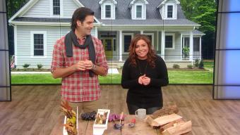 carter oosterhouse and rachael ray