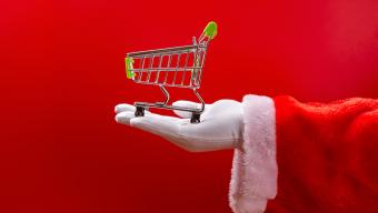 santa holding grocery cart