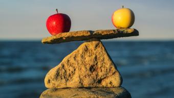 balancing rocks and apples on the beach