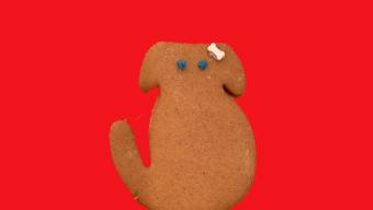 ginger bella cookie