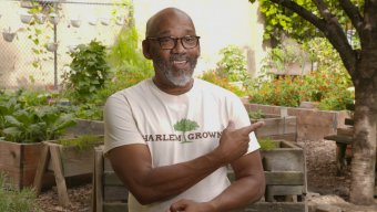 Harlem Grown founder Tony Hillery