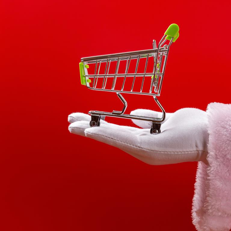 santa holding grocery cart