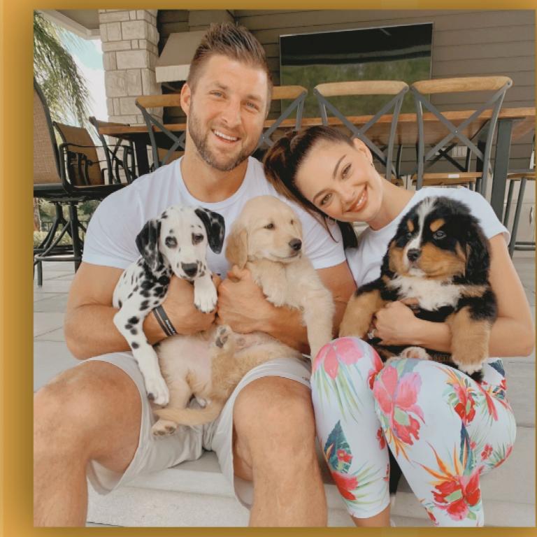 tim tebow with his wife and puppies