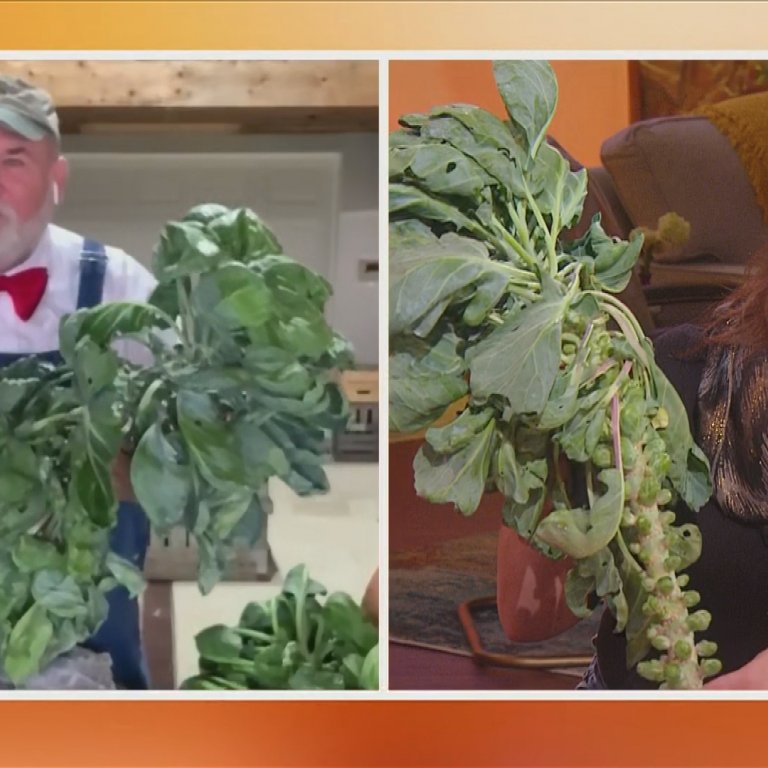 Farmer Lee Jones and Rachael Ray admiring those sexy sprouts.