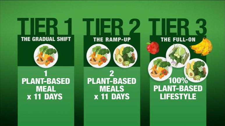 3 Tiers For Plant-Based Diet
