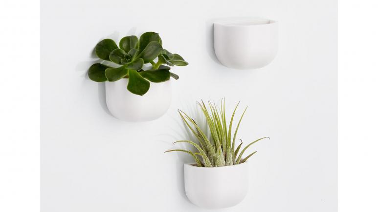 wall planter magnets