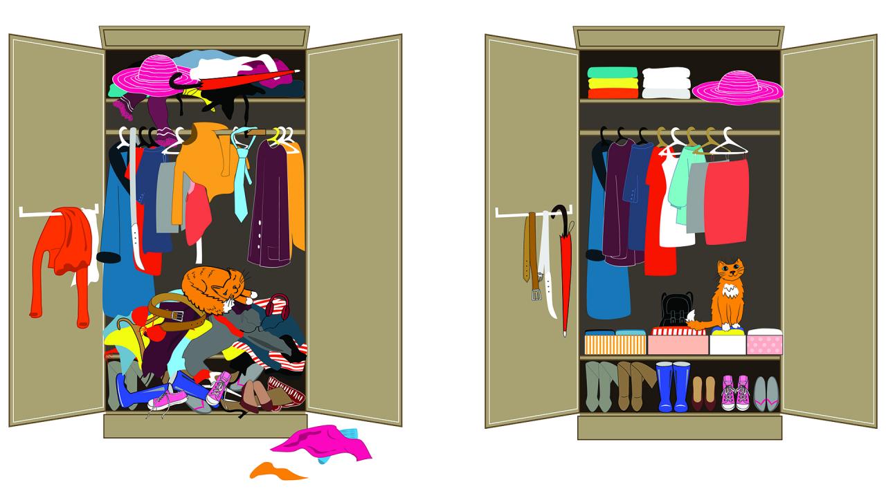 You'll Never Have to Do a Closet Purge Again If You Do THIS Every Day ...